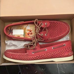 Sperry size 12